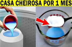 cheirinho-para-casa-01-07-1