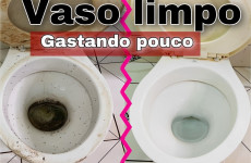 como-limpar-vaso-sanitario-19-06-1