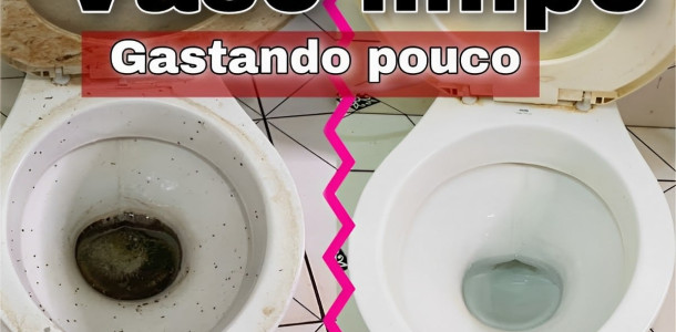 como-limpar-vaso-sanitario-19-06-1