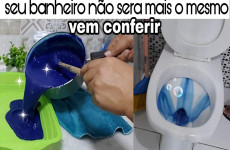 mistura-para-limpar-vaso-sanitario-12-0811