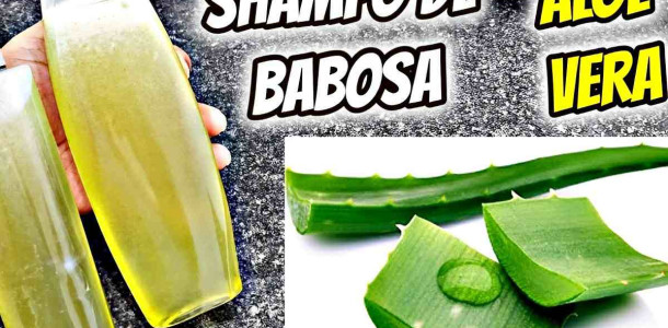 shampoo-de-babosa-23-0811