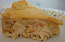 torta-de-frango-com-requeijao-e-mussarela-1024x683-1-1