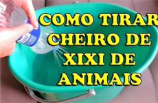 como-tirar-cheiro-de-urina-de-animais-08-0911