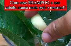 shampoo-caseiro-15-0911