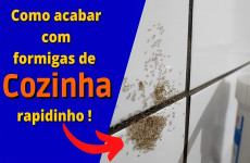 dica-para-espantar-formigas-da-cozinha-27-10