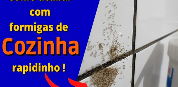 dica-para-espantar-formigas-da-cozinha-27-10