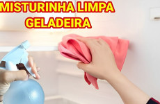 misturinha-caseira-para-limpar-a-geladeira-27-0911