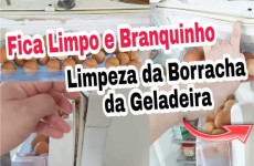 limpar-borracha-1112-1024x683