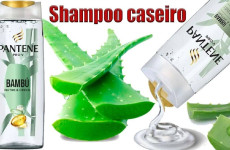 shampoo-caseiro-2501