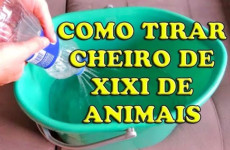 tirar-cheiro-urina-1412-1024x683