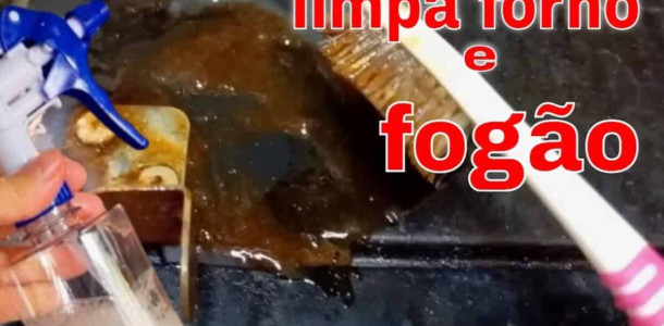 limpador-forno-3001