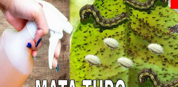 inseticida-mata-tudo-23031