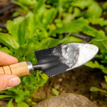 Bicarbonato-de-sodio-nas-plantas